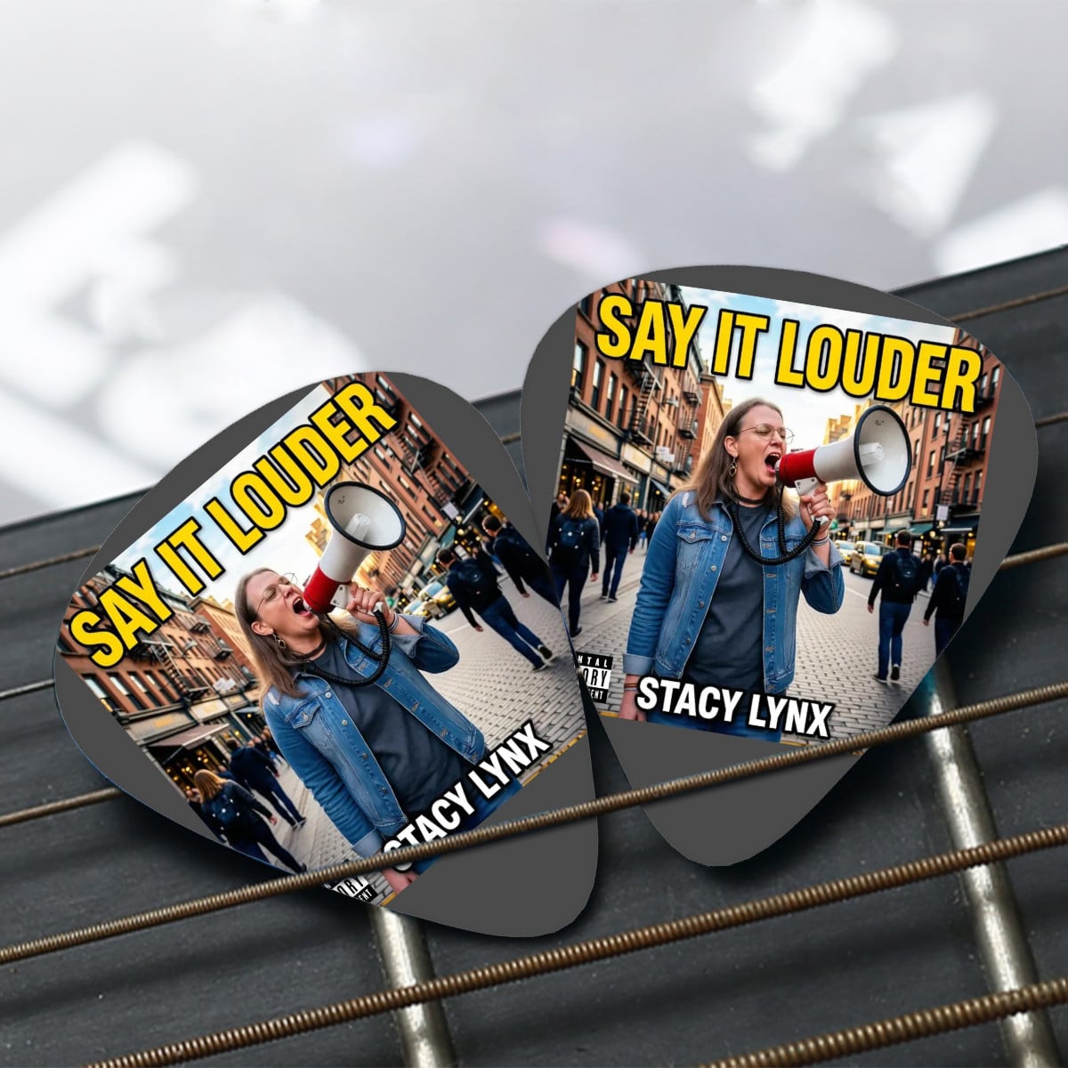 Guitar Picks 12Pcs Say it Louder Album Cover - Image 4