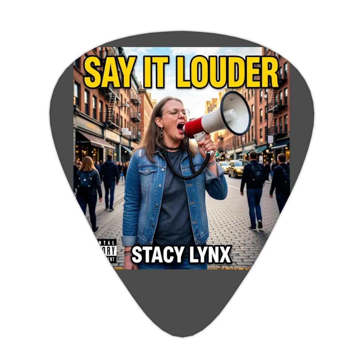 Guitar Picks 12Pcs Say it Louder Album Cover